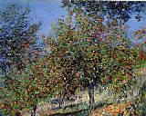 Apple Canvas Paintings - Apple Trees on the Chantemesle Hill